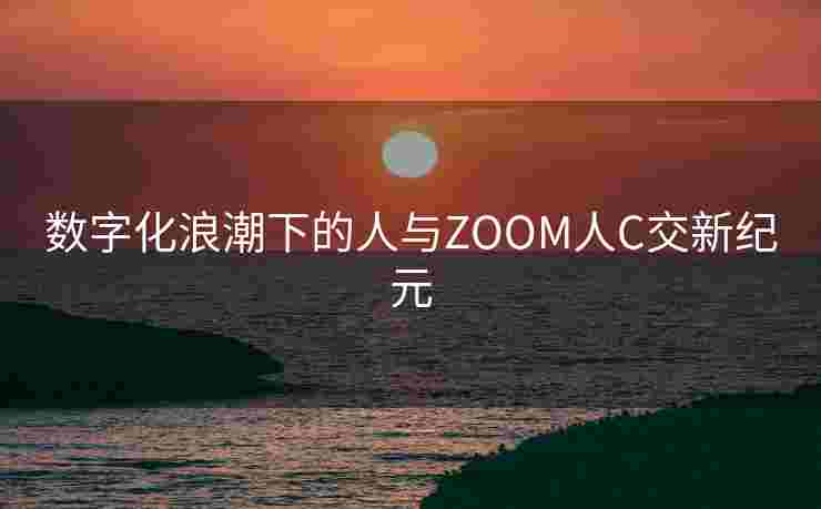 数字化浪潮下的人与ZOOM人C交新纪元